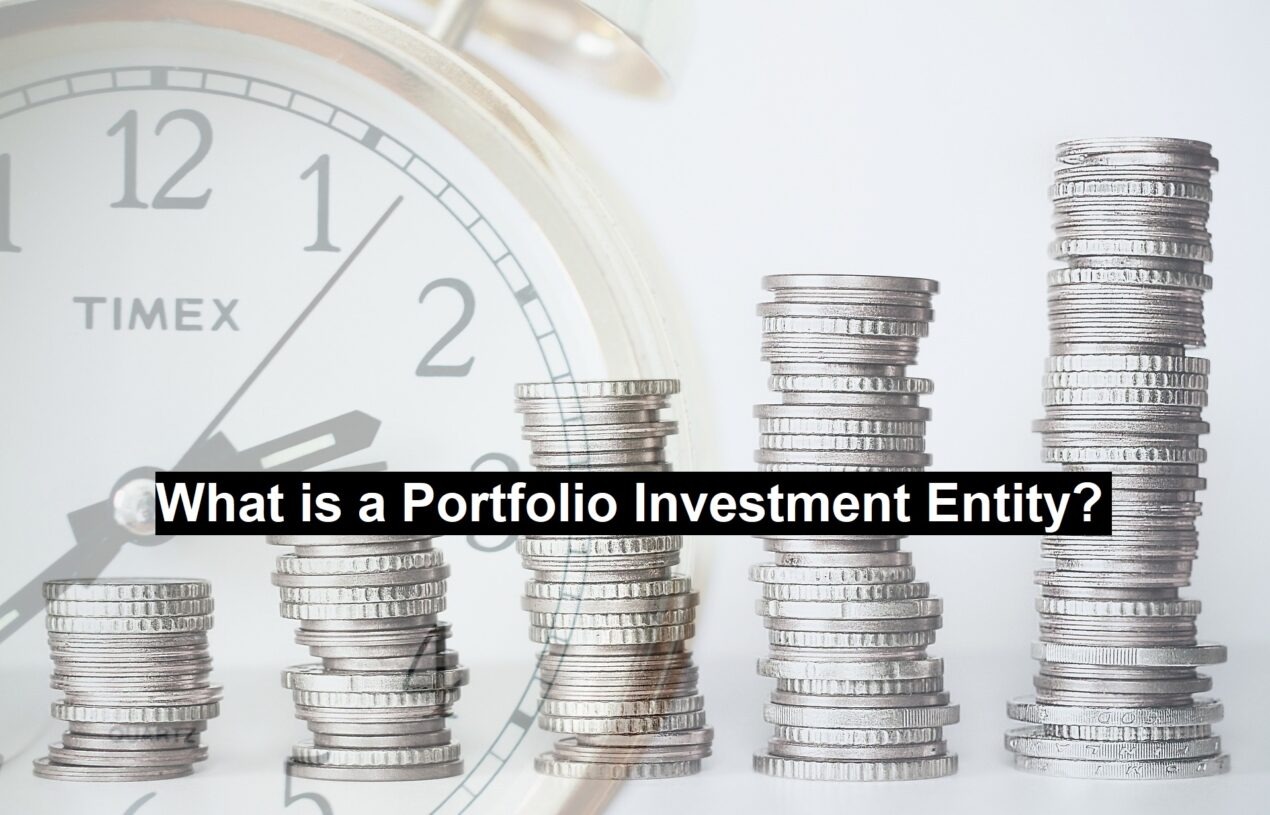 What is a Portfolio Investment Entity?